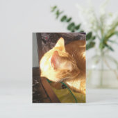 kat slaapt op het werk briefkaart (Staand voorkant)