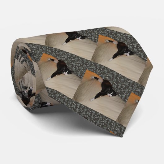 Kat Slapen bovenop de couchstropdas Stropdas (Opgerold)