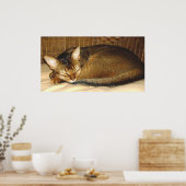 Kat Slapen in een kruistoel Poster (Keuken)