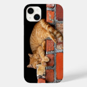 Kat Slapen op de muur Case-Mate iPhone Case (Achterkant)