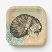 Kat slapen op quilt schattig papieren bordje (Voorkant)