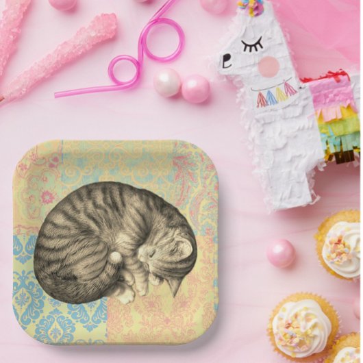 Kat slapen op quilt schattig papieren bordje