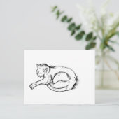 Kat Slapende Illustratie Pen Tekening Kunst Briefkaart (Staand voorkant)