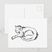 Kat Slapende Illustratie Pen Tekening Kunst Briefkaart (Voorkant / Achterkant)