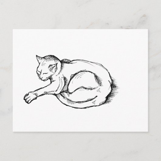 Kat Slapende Illustratie Pen Tekening Kunst Briefkaart (Voorkant)