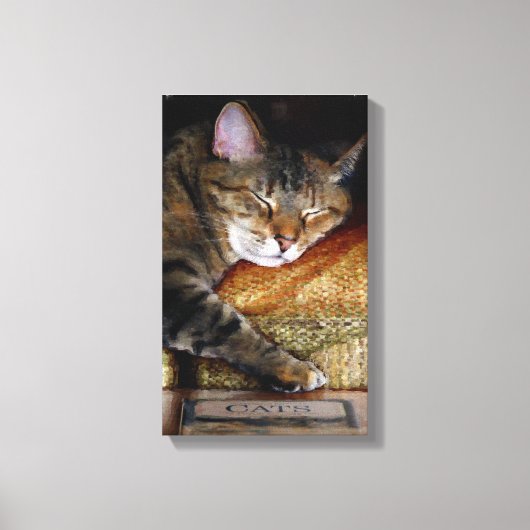 Kat Slaperige Boek Canvas Afdruk (Voorkant)