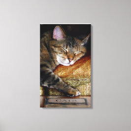 Kat Slaperige Boek Canvas Afdruk