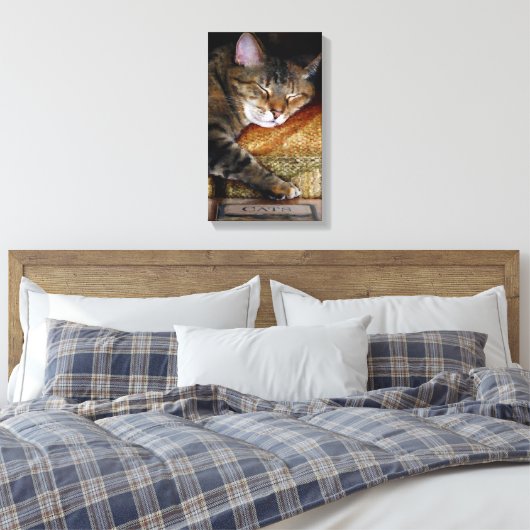 Kat Slaperige Boek Canvas Afdruk (Insitu (Slaapkamer))