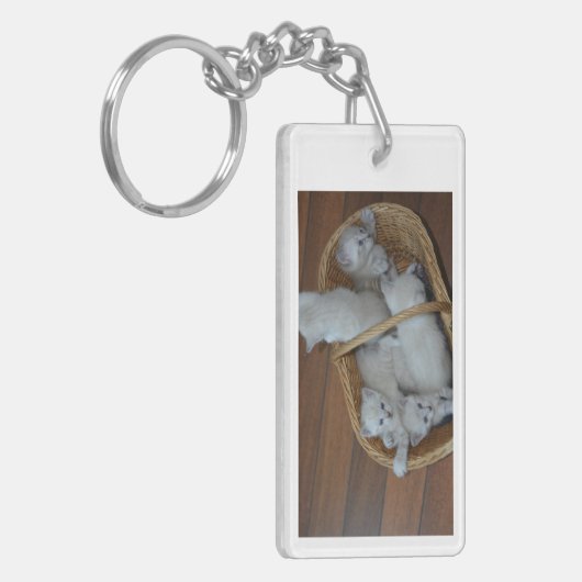 Kat Sleutelhanger (Voorkant Links)