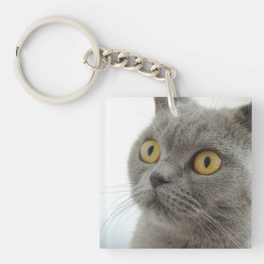 kat sleutelhanger (voorkant)