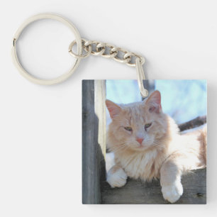 Kat Sleutelhanger
