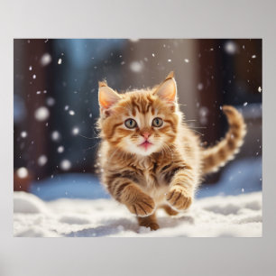 *~* Kat Sneeuwrace 5:4 Kitten Cat AP68 Poster