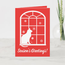 Kat Sneeuwvlokken bekijken via venster