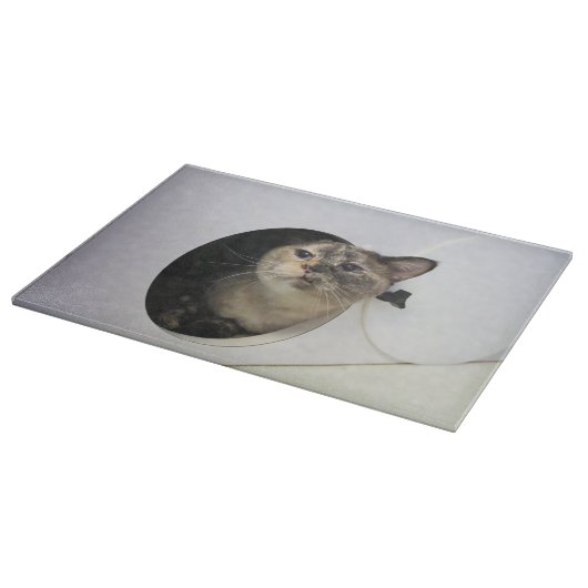 Kat Snijplank (Hoek)