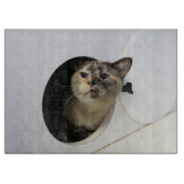 Kat Snijplank (Voorkant)