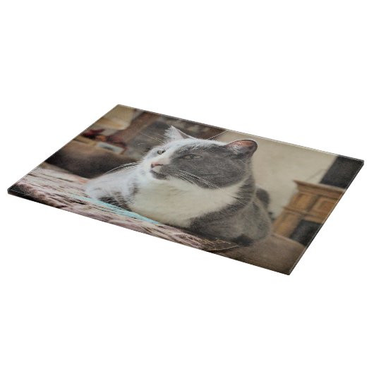 Kat Snijplank (Hoek)