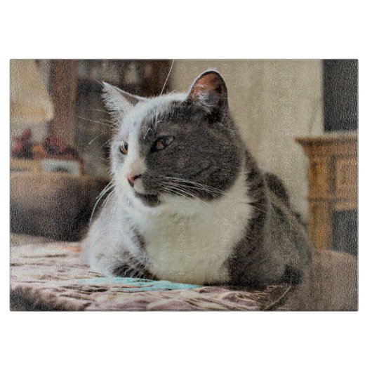 Kat Snijplank (Voorkant)