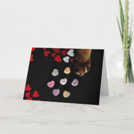 Kat Snoep Harten Valentijnsdag Kaart