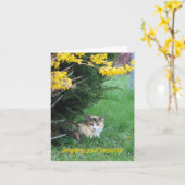 Kat, Snoepje Één, Verjaardag Kaart (Gele Bloem)
