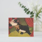 Kat Sonet spelen op Violin vanaf 1909 PC Briefkaart (Staand voorkant)