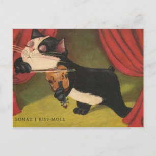 Kat Sonet spelen op Violin vanaf 1909 PC Briefkaart