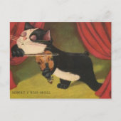 Kat Sonet spelen op Violin vanaf 1909 PC Briefkaart (Voorkant)