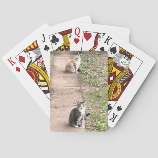 Kat-speelkaarten Pokerkaarten (Achterkant)