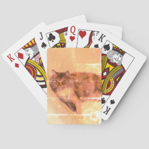 Kat-speelkaarten Pokerkaarten