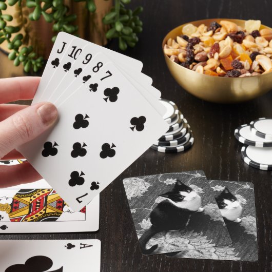 Kat-speelkaarten Pokerkaarten (Insitu)