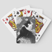 Kat-speelkaarten Pokerkaarten (Achterkant)