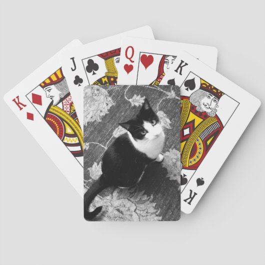 Kat-speelkaarten Pokerkaarten (Achterkant)