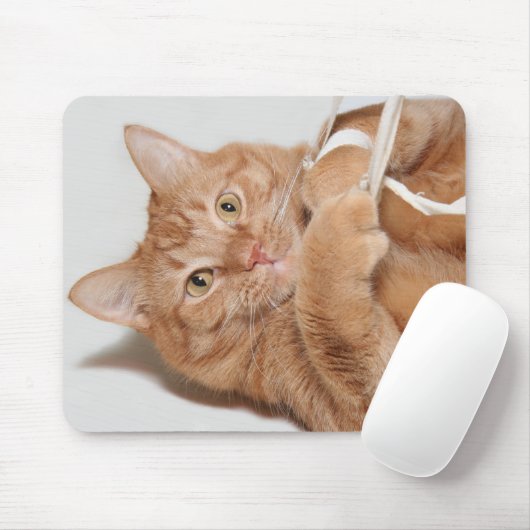 Kat speelt muismat (Met muis)