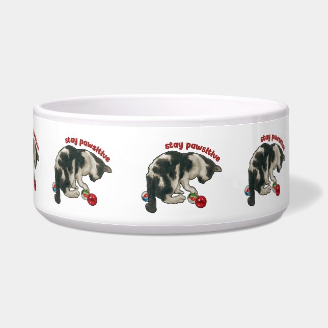 Kat spelen met knikkers, blijf positief, woordspel voerbakje (Rechts)