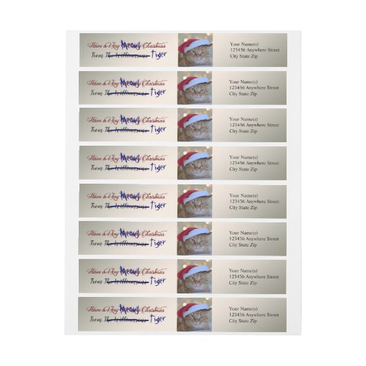 Kat Steals je Silver-kerstretouradres (Vel)