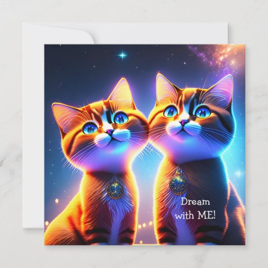 Kat-stel onder de sterrenhemel - (Voorkant)