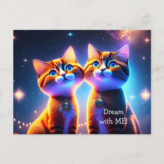 Kat-stel onder de sterrenhemel - briefkaart (Voorkant)