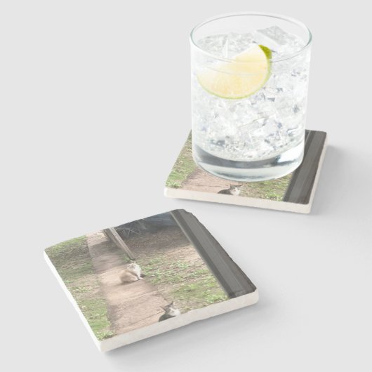 Kat Stenen Onderzetter (Zijkant)