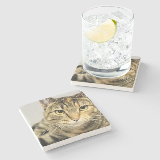 Kat Stenen Onderzetter (Zijkant)