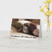 Kat-sterdagkaart voor keuken kaart (Gele Bloem)