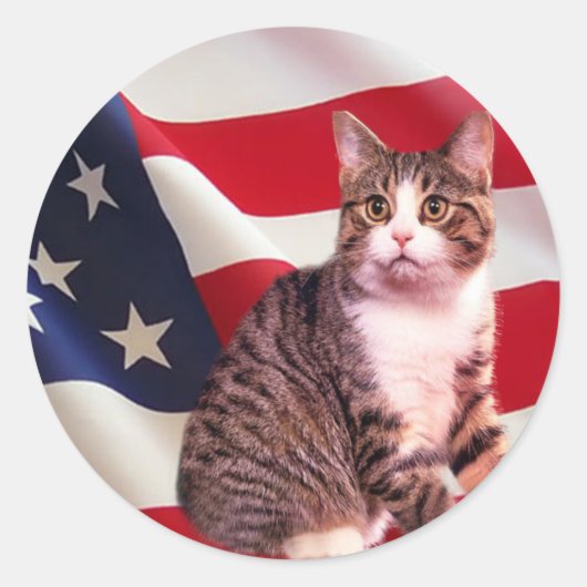 Kat Sticker Alle Amerikaans (Voorkant)