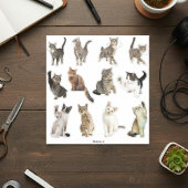 Kat Sticker Collectie