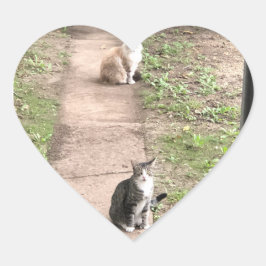 Kat Stickers