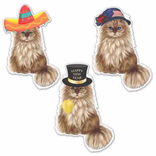 Kat Stickers (Voorkant)