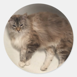 Kat Stickers