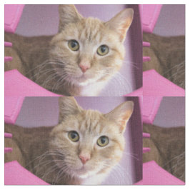 Kat Stof