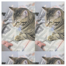 Kat