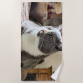 Kat Strandlaken (Voorkant)