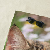 Kat Strandlaken (In situ)