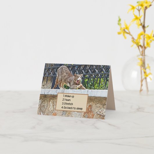 KAT STRETCHING EN GEEUW / OCHTENDROUTINE KAART (Gele Bloem)