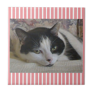 Kat Striped keramische Tegel Tegeltje